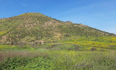 PARCELA CLUB DE POLO TALANQUÉN