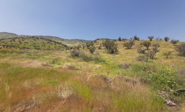 PARCELA CLUB DE POLO TALANQUÉN