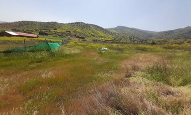 PARCELA CLUB DE POLO TALANQUÉN