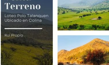 PARCELA CLUB DE POLO TALANQUÉN