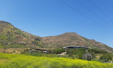 PARCELA CLUB DE POLO TALANQUÉN