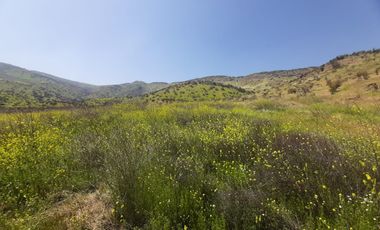 PARCELA CLUB DE POLO TALANQUÉN