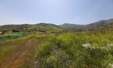 PARCELA CLUB DE POLO TALANQUÉN