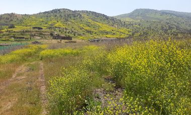 PARCELA CLUB DE POLO TALANQUÉN