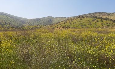 PARCELA CLUB DE POLO TALANQUÉN