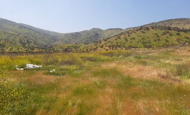 PARCELA CLUB DE POLO TALANQUÉN