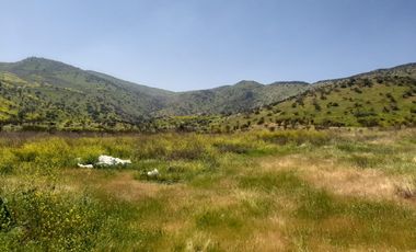 PARCELA CLUB DE POLO TALANQUÉN