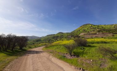 PARCELA CLUB DE POLO TALANQUÉN
