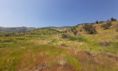 PARCELA CLUB DE POLO TALANQUÉN