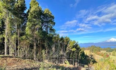 Parcela en Venta en COD39234 A 5 minutos de Villarrica Ruta S-69