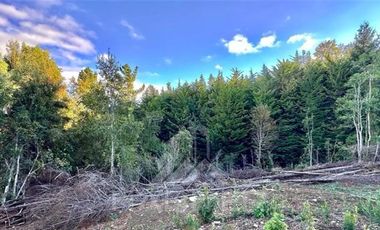Parcela en Venta en COD39234 A 5 minutos de Villarrica Ruta S-69