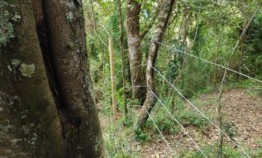 PARCELA DE AGRADO EN MAULLIN