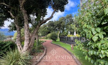 Hermoso departamento en Pinares