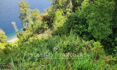 17,5 Hectáreas, con borde turquesa en Lago Caburga