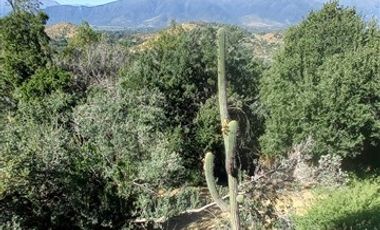 Casa en Venta en Altos del Golf 1300, pirque