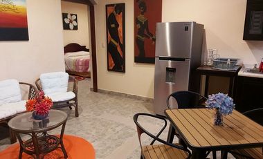 Departamento renta  Hacienda la Presita, San Miguel de Allende, Gto.