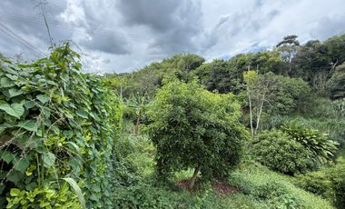 LOTE EN VENTA EN LA VIA MORELIA/PEREIRA