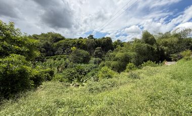 LOTE EN VENTA EN LA VIA MORELIA/PEREIRA