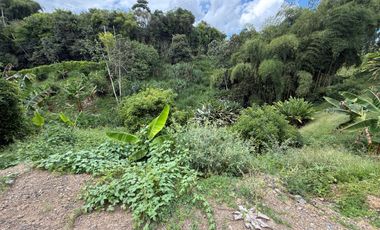 LOTE EN VENTA EN LA VIA MORELIA/PEREIRA