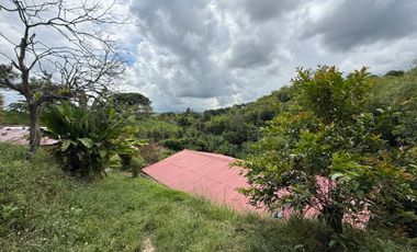 LOTE EN VENTA EN LA VIA MORELIA/PEREIRA