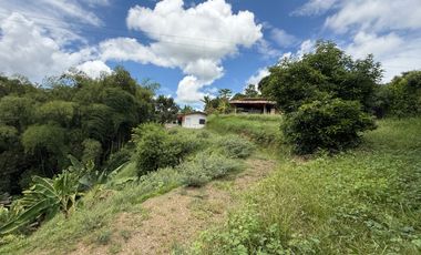LOTE EN VENTA EN LA VIA MORELIA/PEREIRA