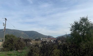 Exclusiva Parcela 2 hás colindante a Viña Indómita y Viñamar en Casablanca, sector Nuevo Mundo