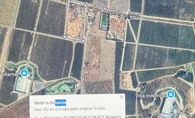 Exclusiva Parcela 2 hás colindante a Viña Indómita y Viñamar en Casablanca, sector Nuevo Mundo