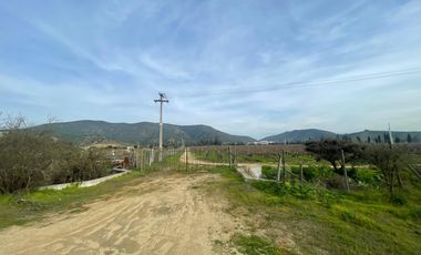 Exclusiva Parcela 2 hás colindante a Viña Indómita y Viñamar en Casablanca, sector Nuevo Mundo