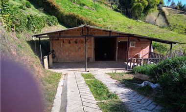 VENDO FINCA EN SAN VICENTE FERRER-CHAPARRAL