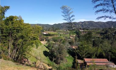 VENDO LOTE SAN VICENTE FERRER-CHAPARRAL