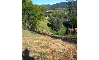 VENDO LOTE SAN VICENTE FERRER-CHAPARRAL