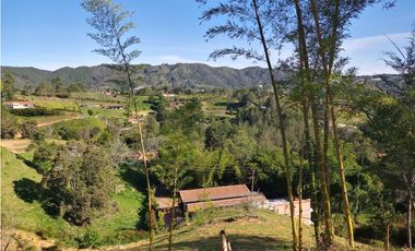 VENDO LOTE SAN VICENTE FERRER-CHAPARRAL