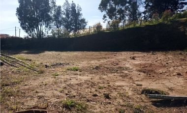 VENDO LOTE SAN VICENTE FERRER-CHAPARRAL