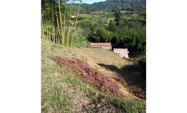 VENDO LOTE SAN VICENTE FERRER-CHAPARRAL