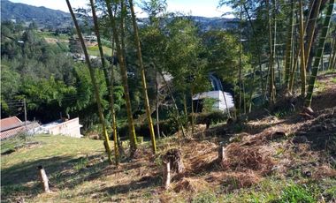 VENDO LOTE SAN VICENTE FERRER-CHAPARRAL