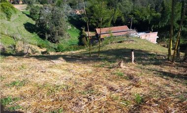 VENDO LOTE SAN VICENTE FERRER-CHAPARRAL