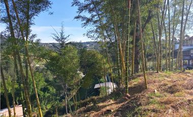 VENDO LOTE SAN VICENTE FERRER-CHAPARRAL