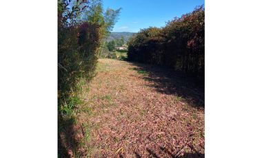 VENDO LOTE SAN VICENTE FERRER-CHAPARRAL