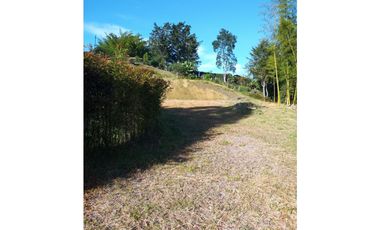 VENDO LOTE SAN VICENTE FERRER-CHAPARRAL