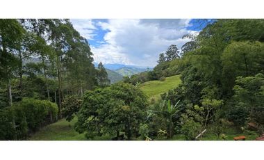 Vendo casa Campestre en Titiribi Antioquia