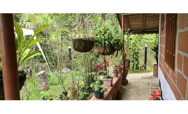 Vendo casa Campestre en Titiribi Antioquia