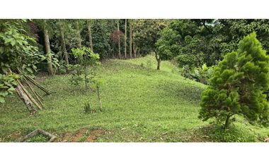 Vendo casa Campestre en Titiribi Antioquia