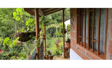 Vendo casa Campestre en Titiribi Antioquia