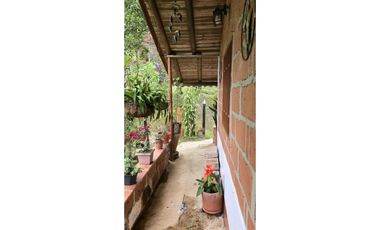 Vendo casa Campestre en Titiribi Antioquia