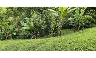 Vendo casa Campestre en Titiribi Antioquia