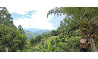 Vendo casa Campestre en Titiribi Antioquia
