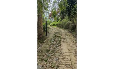 Vendo casa Campestre en Titiribi Antioquia