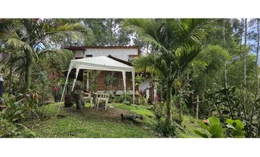 Vendo casa Campestre en Titiribi Antioquia