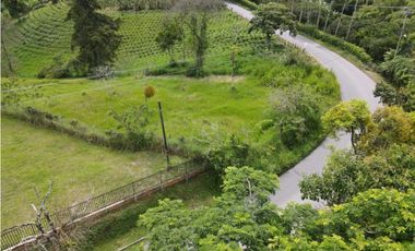Se vende lote en Quimbaya, Quindio