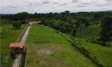 Se vende lote en Quimbaya, Quindio